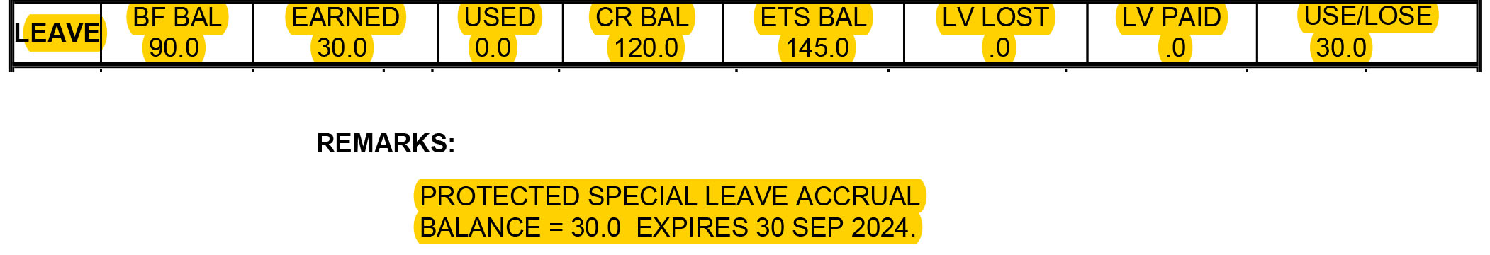 LES Leave Entry and Remarks Section for SLA AC Example 1