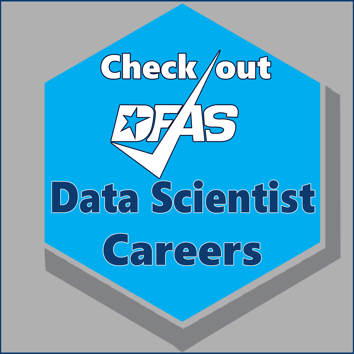 Data Scientist Careers Handout