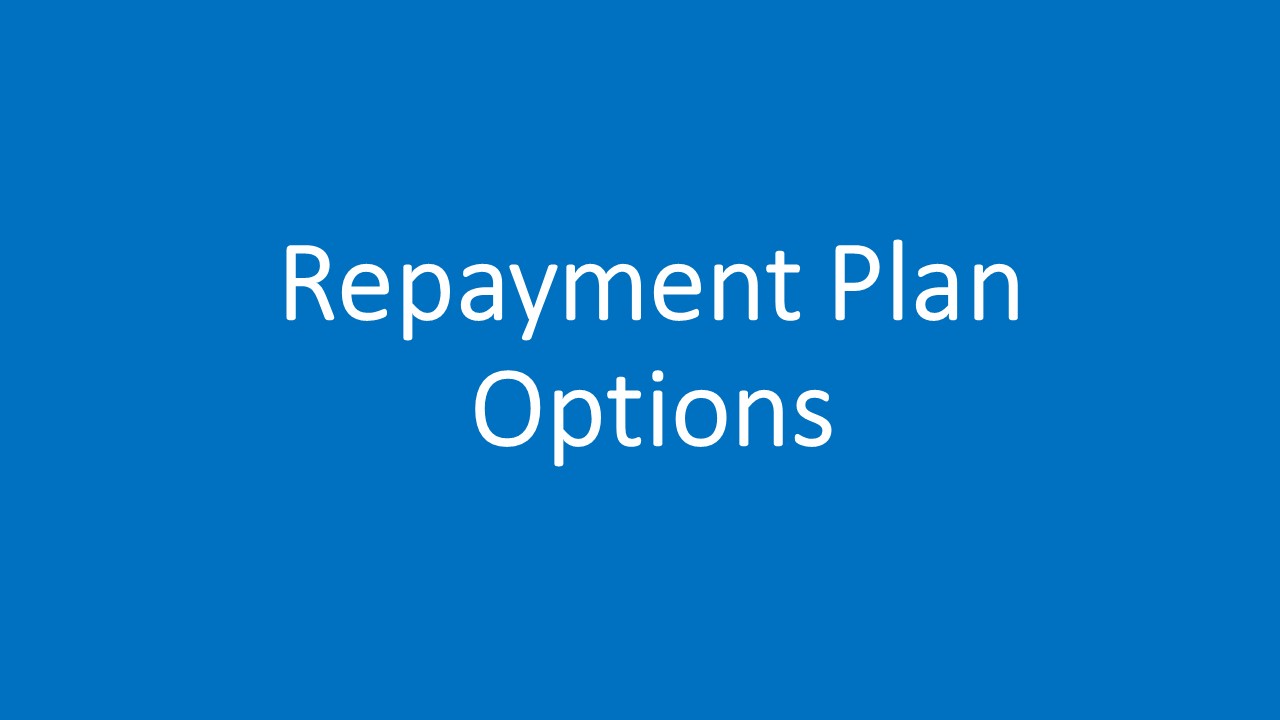 Link to the Reduced Installment Payment Request web page