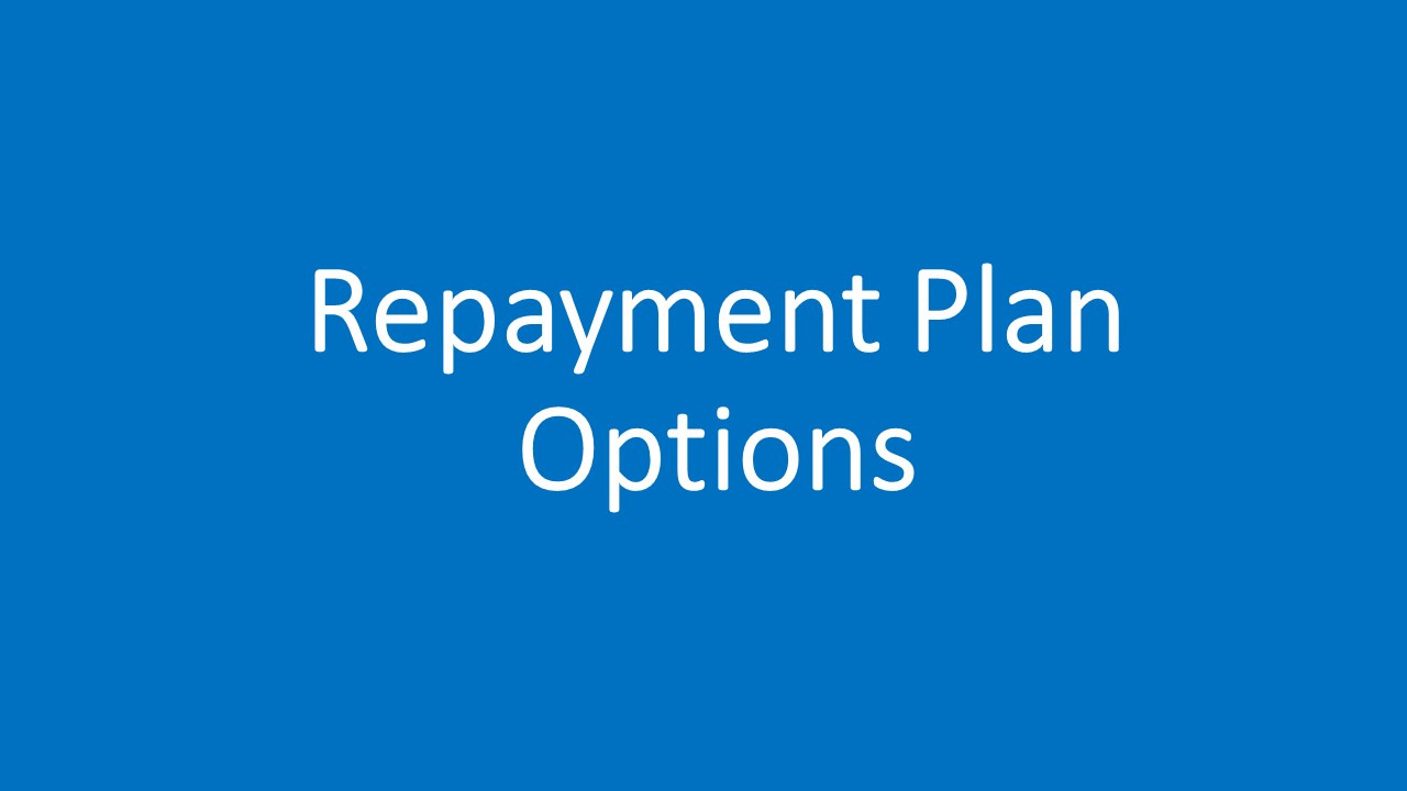 Debt Repayment Options